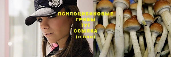 стаф Лагань