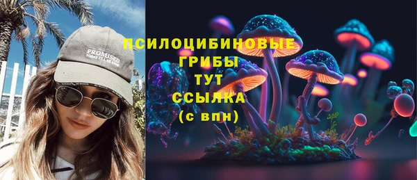 соль ск Вязьма