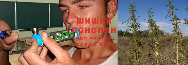тгк Волосово