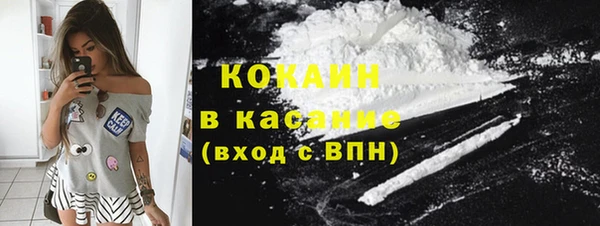 гидра Киреевск