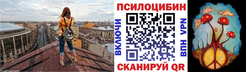 Псилоцибиновые грибы ЛСД  мега онион  Долинск  наркошоп 